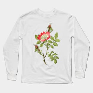 Wild Rose Flower Botanical Illustration Long Sleeve T-Shirt